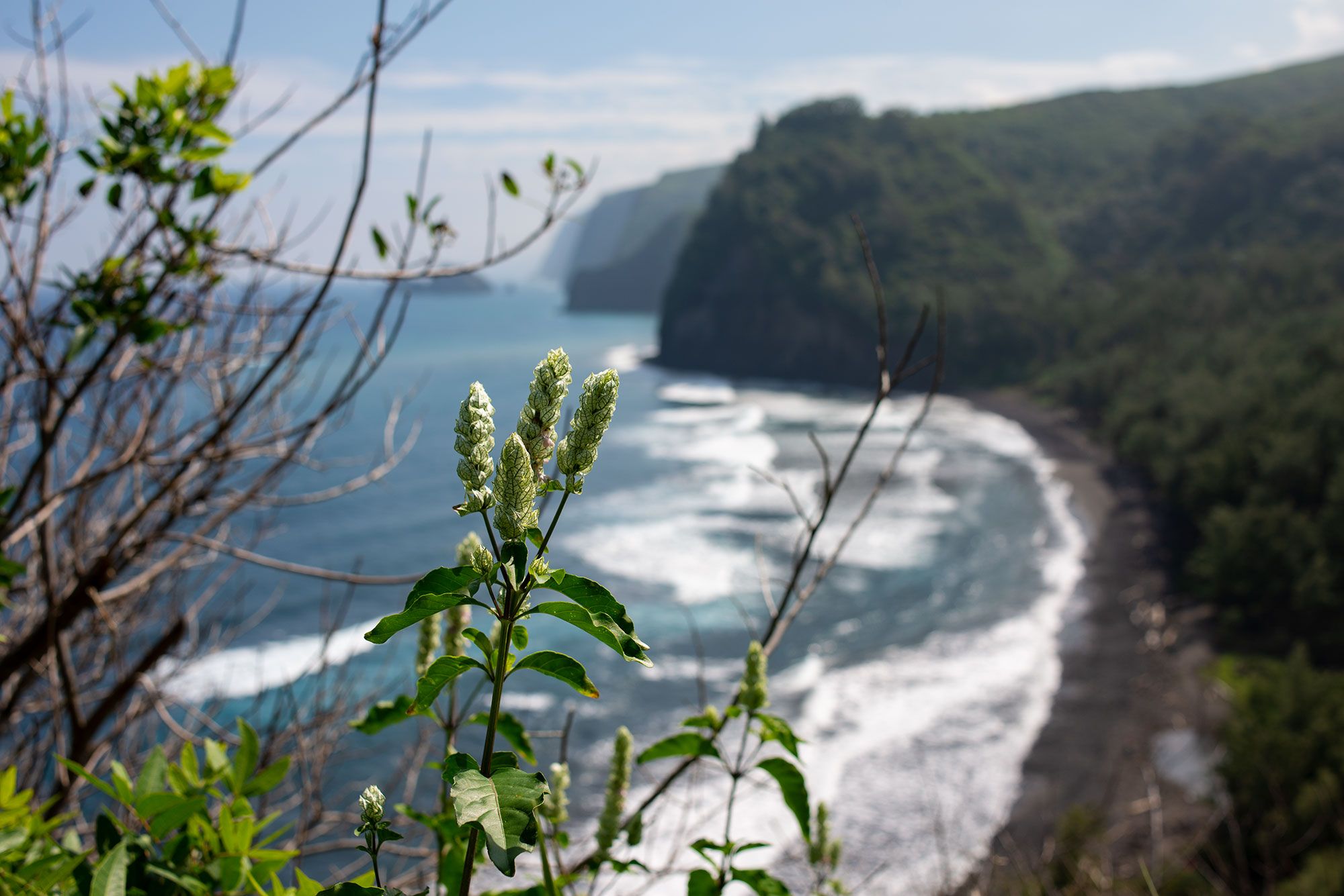 The Big Island of Hawaii